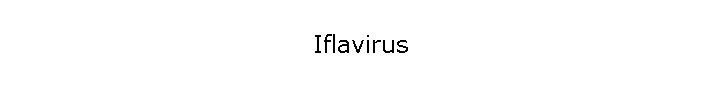 Iflavirus