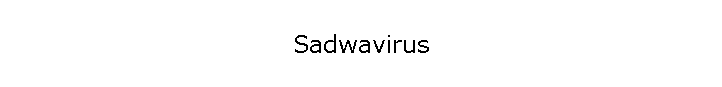 Sadwavirus