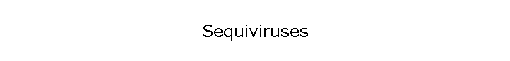 Sequiviruses