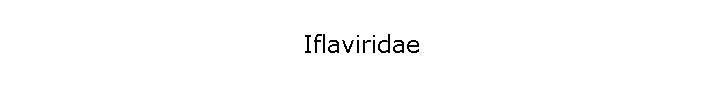 Iflaviridae