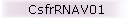 CsfrRNAV01