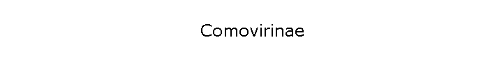 Comovirinae