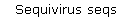 Sequivirus seqs