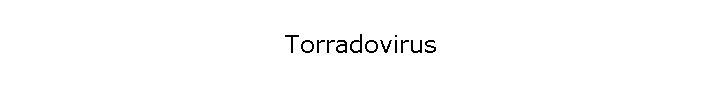Torradovirus